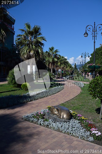 Image of Alley in the central park of Sochi, Russia