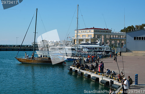 Image of Several people fishing in the port of Sochi