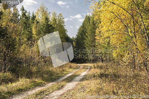 Image of autumn landscapes