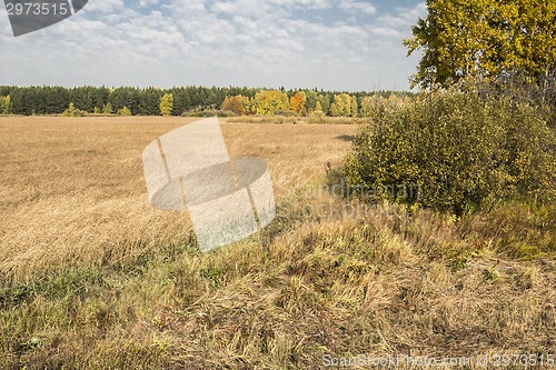 Image of autumn landscapes