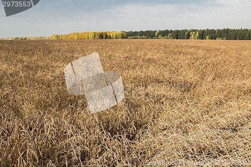 Image of autumn landscapes