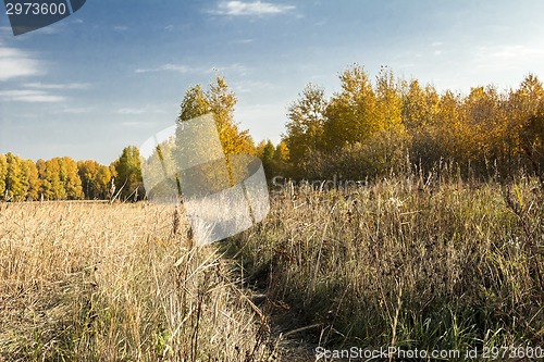 Image of autumn landscapes