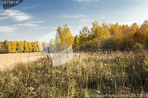 Image of autumn landscapes