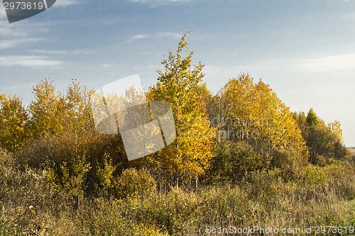 Image of autumn landscapes