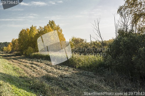 Image of autumn landscapes