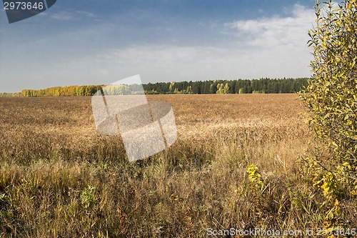 Image of autumn landscapes