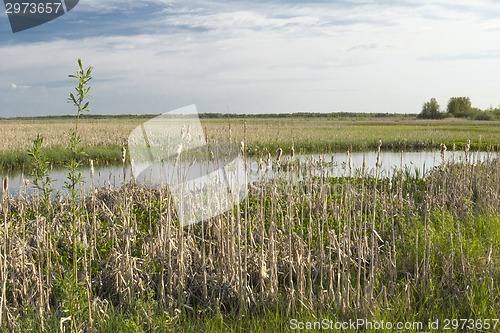 Image of spring flood.