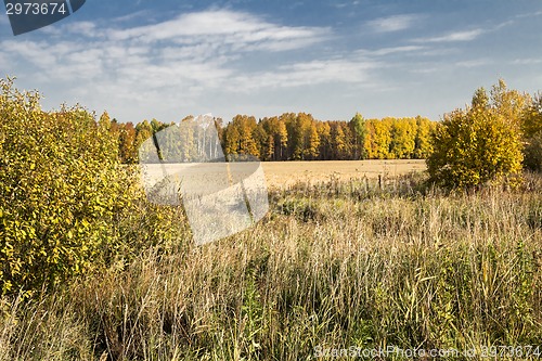 Image of autumn landscapes