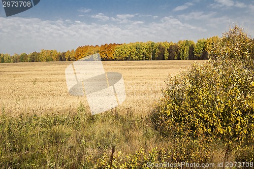 Image of autumn landscapes