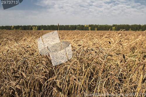 Image of autumn landscapes