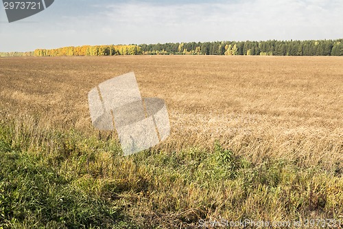 Image of autumn landscapes