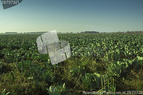 Image of autumn landscapes