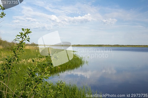 Image of spring flood.