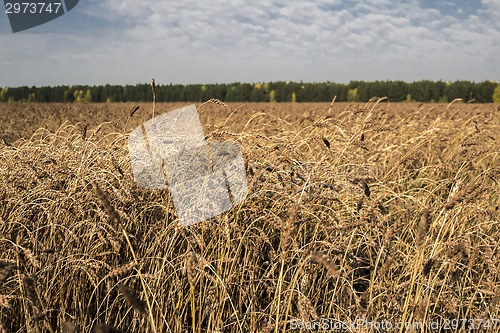 Image of autumn landscapes