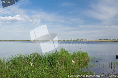 Image of spring flood.