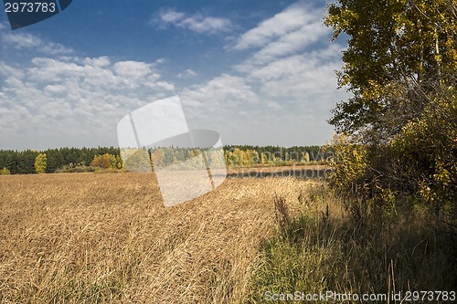 Image of autumn landscapes