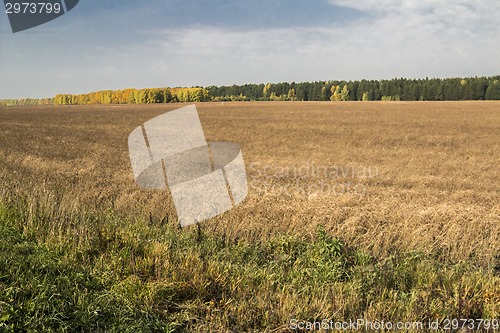 Image of autumn landscapes