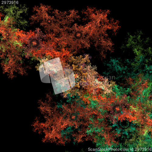 Image of Colorful bacteria