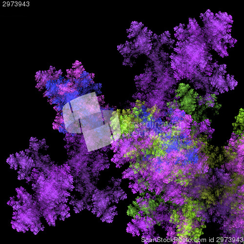 Image of Colorful bacteria