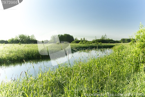 Image of summer landscape