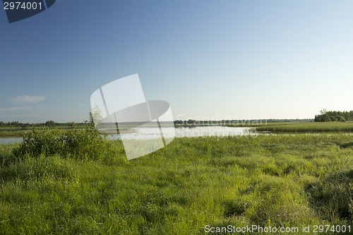 Image of summer landscape