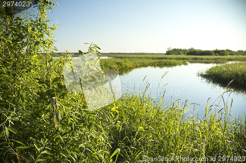 Image of summer landscape