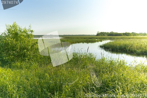 Image of summer landscape