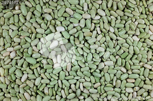 Image of Green flageolet beans background 