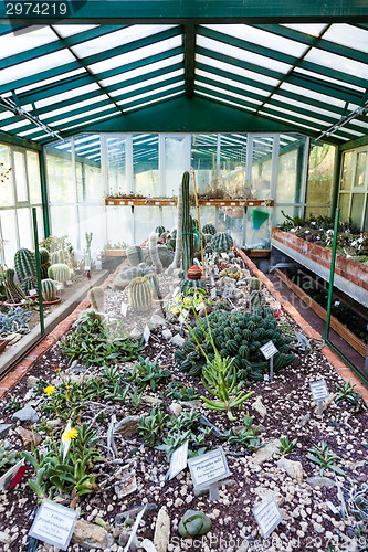 Image of Cactus greenhouse