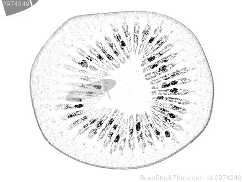 Image of slices of kiwi