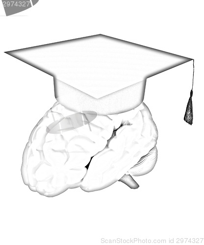 Image of graduation hat on brain