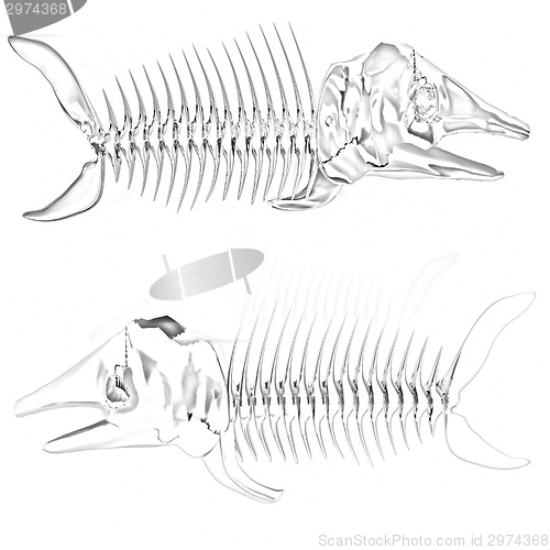 Image of 3d metall illustration of fish skeleton 