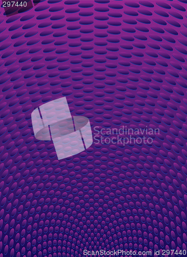 Image of purple radiate