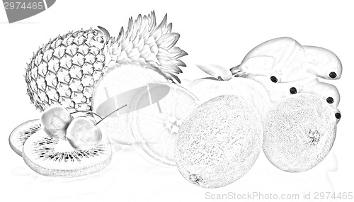 Image of Citrus
