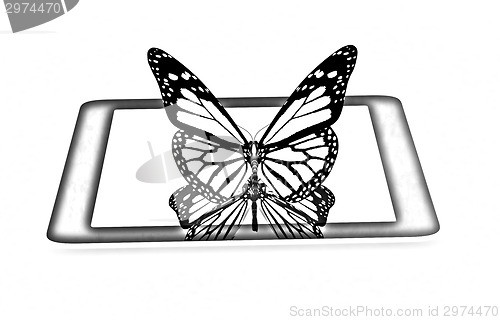 Image of butterflies on a phone