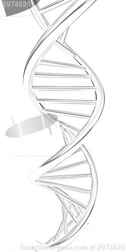 Image of DNA structure model