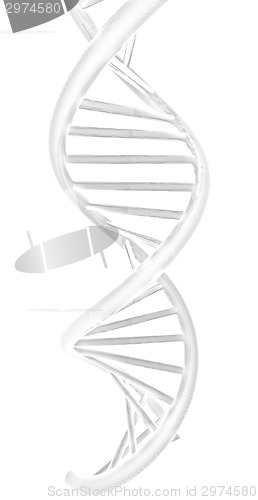 Image of DNA structure model 