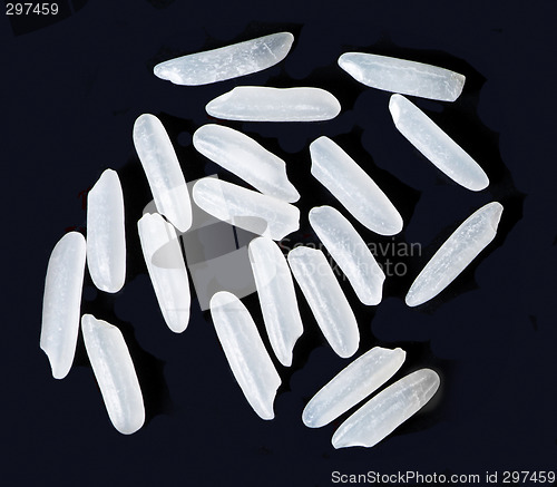 Image of Rice grains