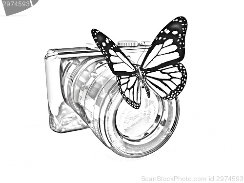 Image of 3d illustration of photographic camera and butterfly