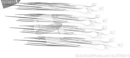 Image of Green onion