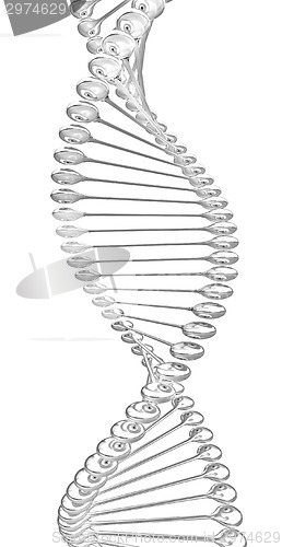 Image of DNA structure model 