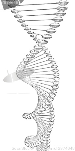 Image of DNA structure model 