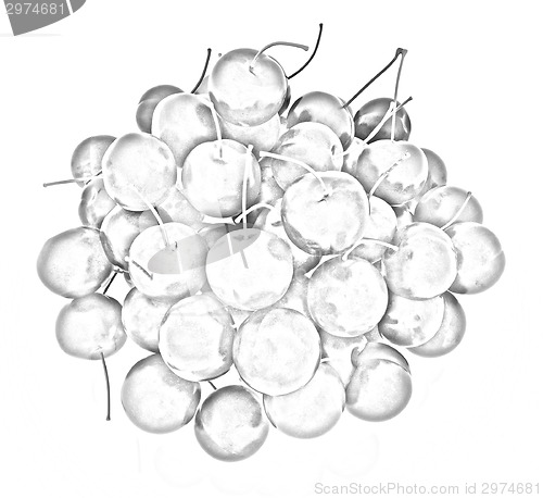 Image of Sweet cherry