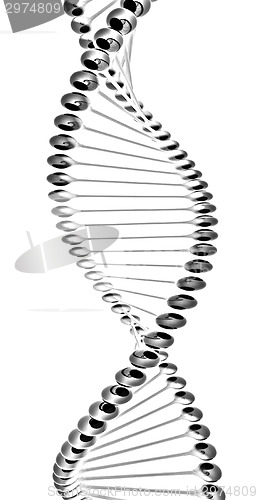 Image of DNA structure model 