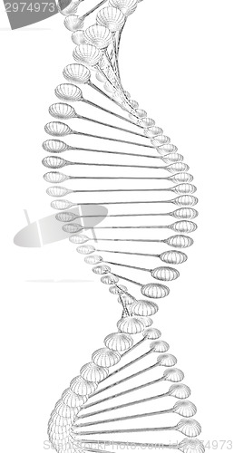 Image of DNA structure model 