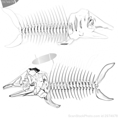 Image of 3d metall illustration of fish skeleton 