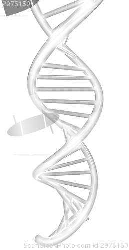 Image of DNA structure model