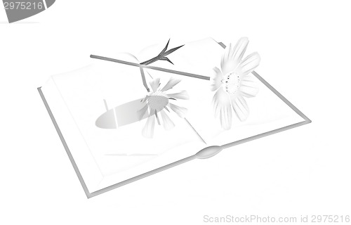 Image of Wonderful flower cosmos and book