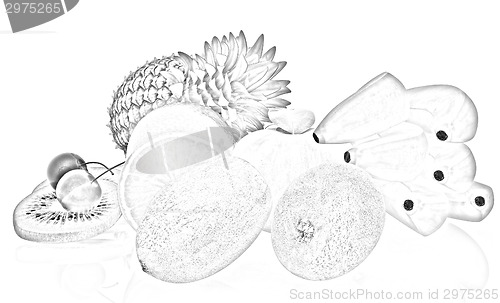 Image of Citrus