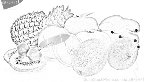 Image of Citrus